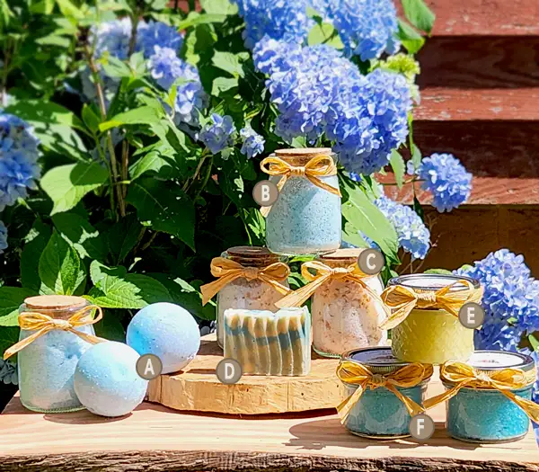 Ocean-Breeze-and-Lily-600x525-product-lettering Ocean Breeze and Lily scent line with alphanumeric notation for each product.