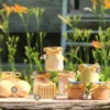 Orange-Blossom-600x525-product-lettering Orange Blossom scent line with alphanumeric notation for each product.