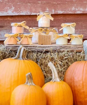 Pumpkin-Spice-600x720-full-products-page-soft-blur-background Pumpkin Spice scent line for the products page.